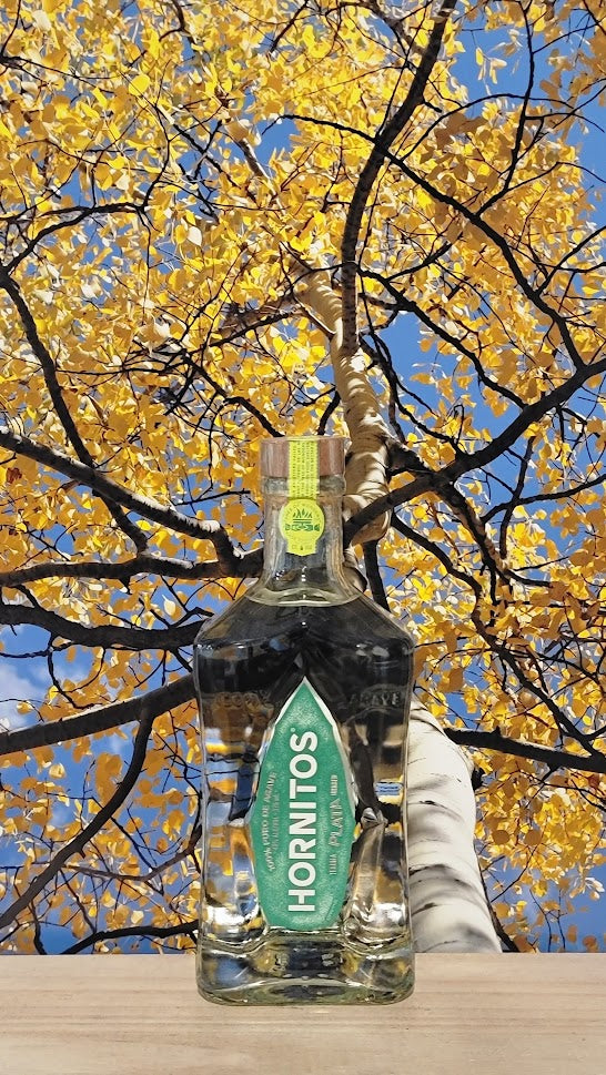 Sauza hornitos plata tequila