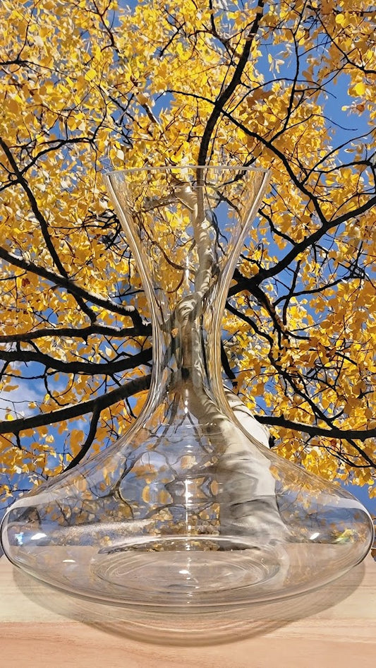 Ellipse decanter