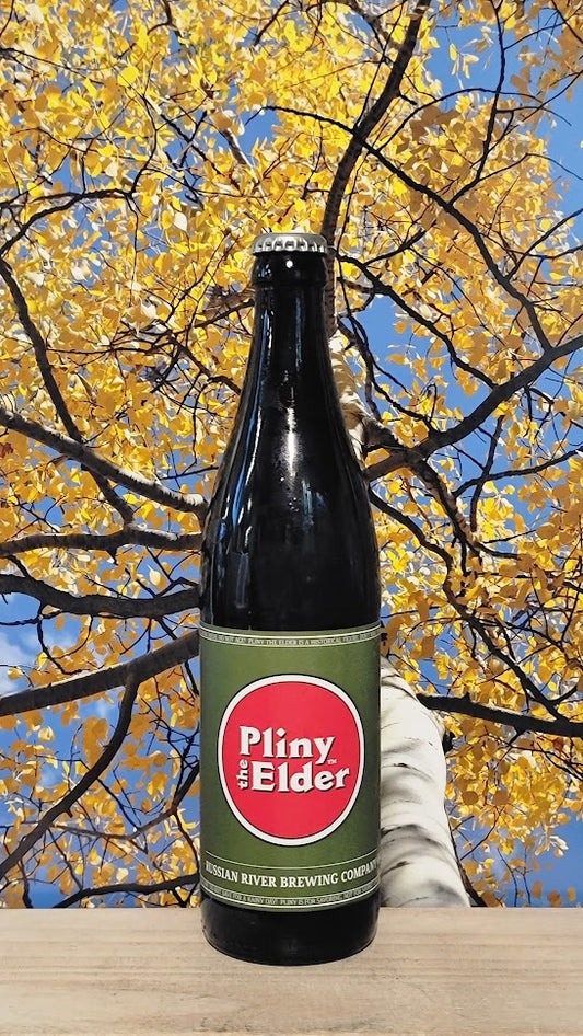 Russian river pliny the elder