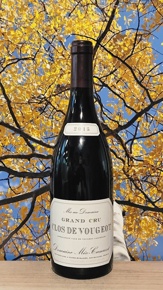 Meo camuzet clos de vougeot