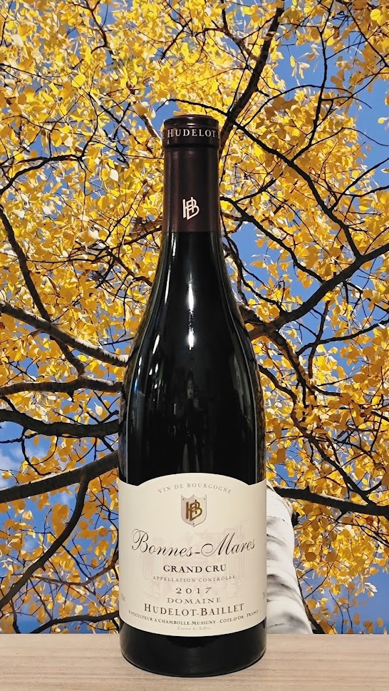 Domaine hudelot baillet bonnes mares grand cru