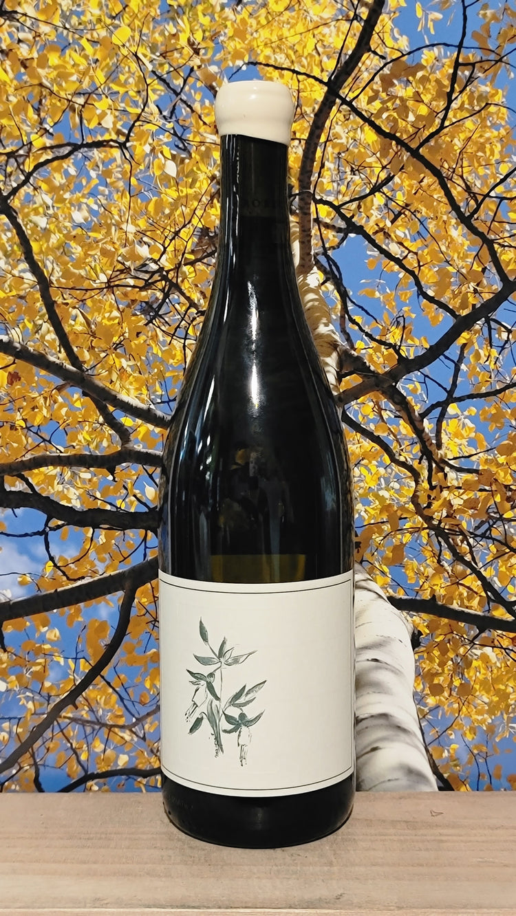 Arnot-roberts sanford benedict chardonnay
