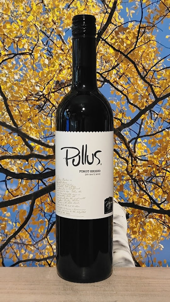 Pullus pinot grigio