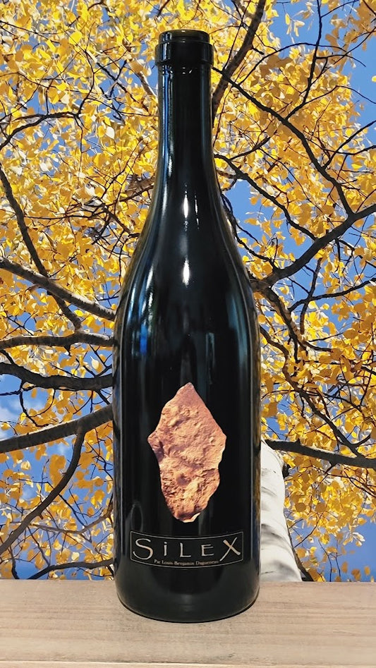 Domaine didier dagueneau silex