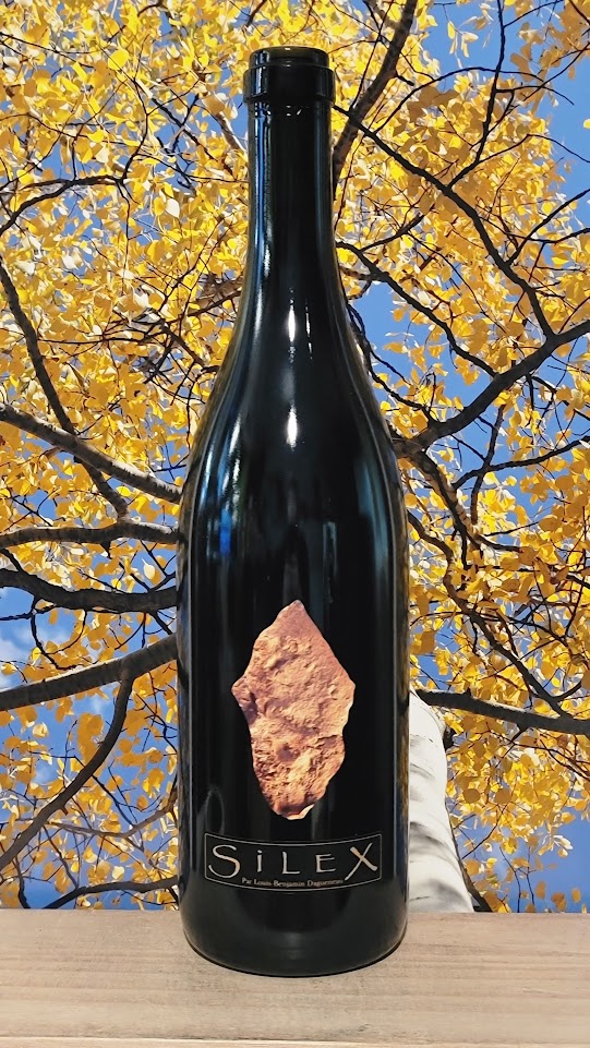 Domaine didier dagueneau silex