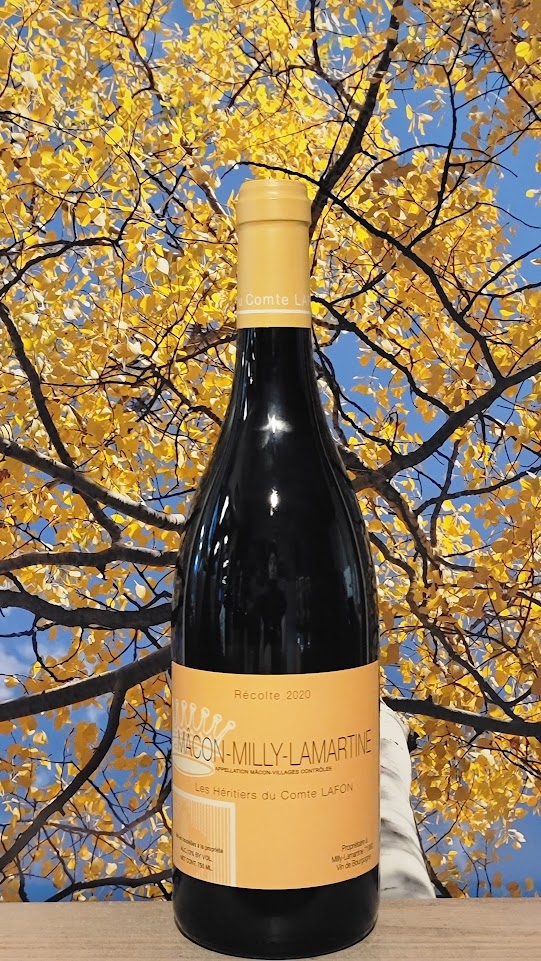 Les heritiers du comte macon lafon milly lamartine