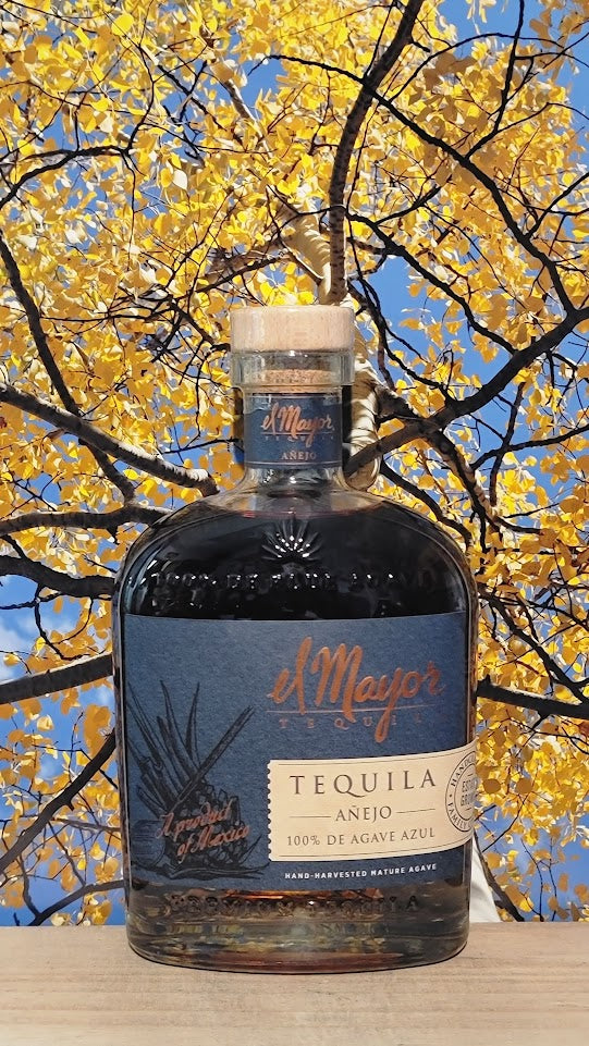 El mayor anjo tequila