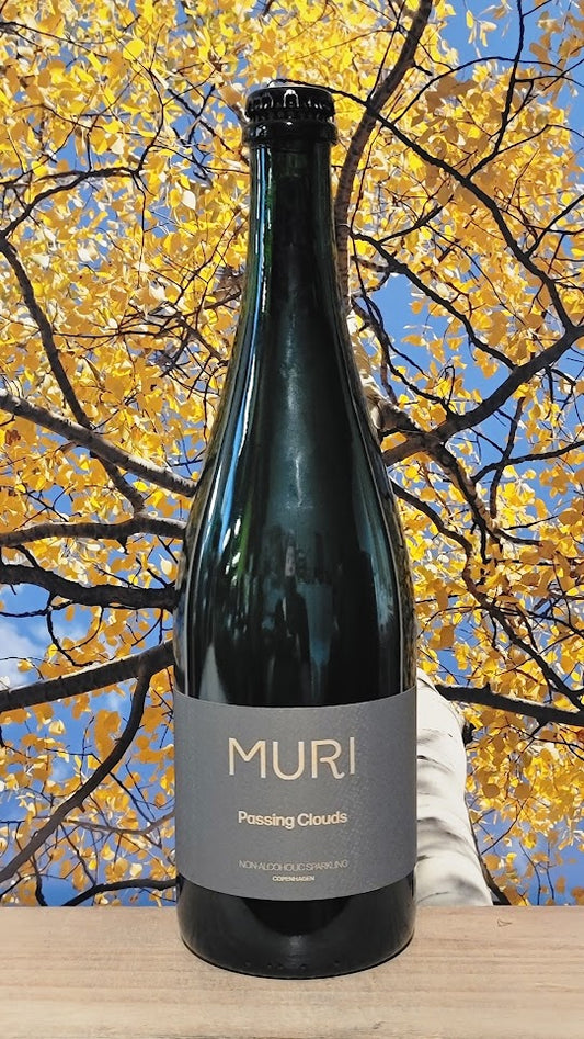 Muri passing clouds sparkling
