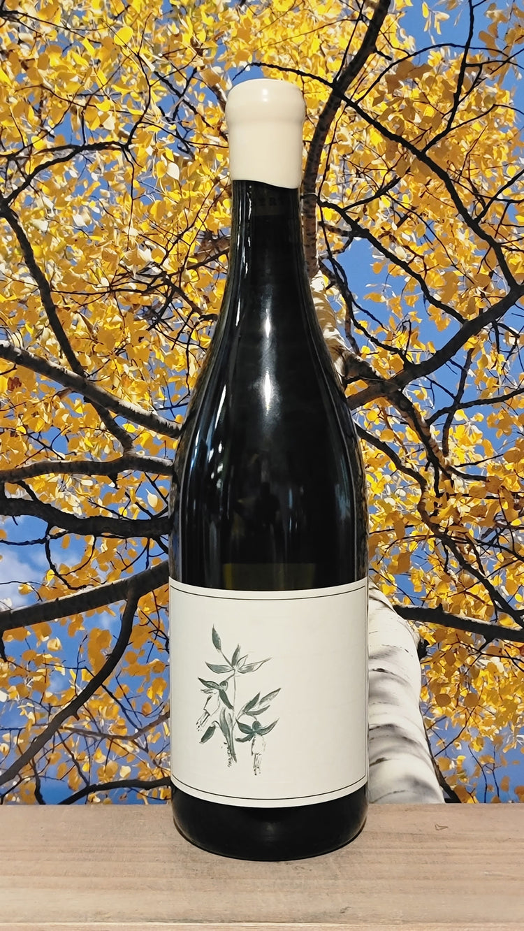 Arnot-roberts trout gulch chardonnay