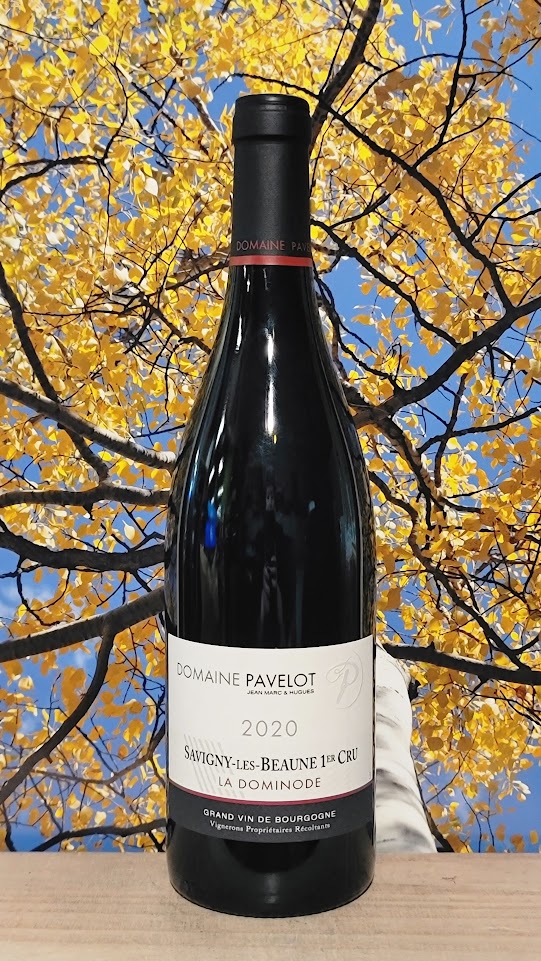 Jean marc & hughes pavelot savigny les beaune 1cru 'la domi