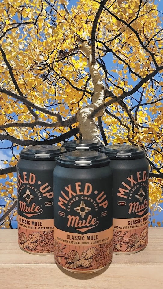 Mixed up classic mule