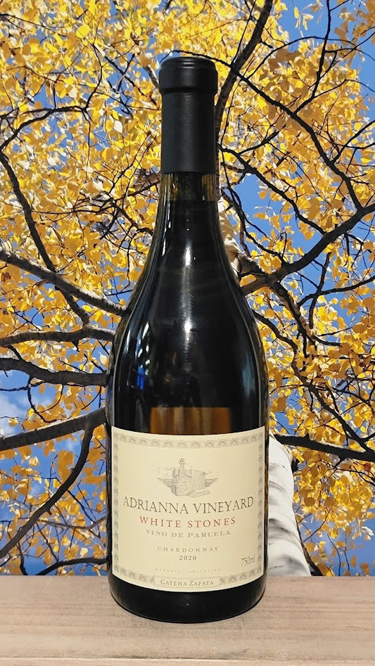 Catena zapata adrianna white stones chardonnay