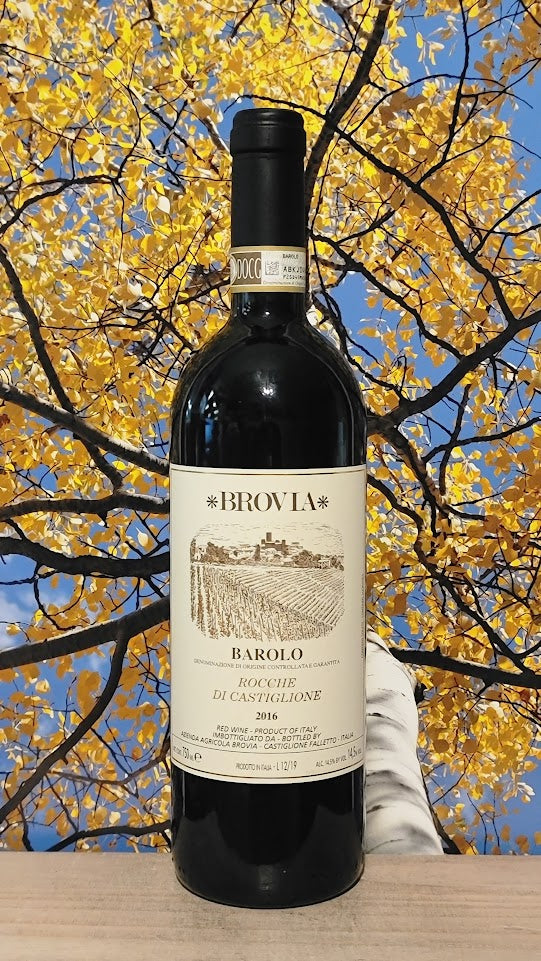 Brovia rocche di castiglione barolo