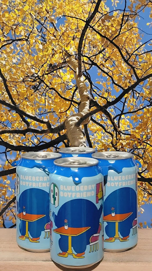 Prairie blueberry boyfriend sour ale