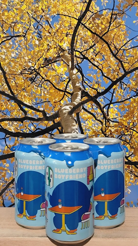 Prairie blueberry boyfriend sour ale