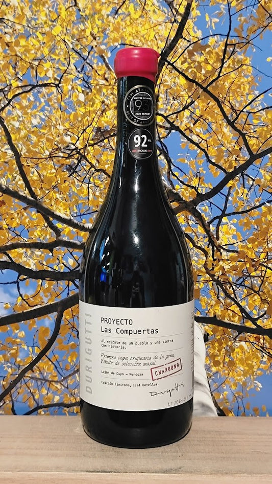 Durigutti proyecto las compuertas charbono