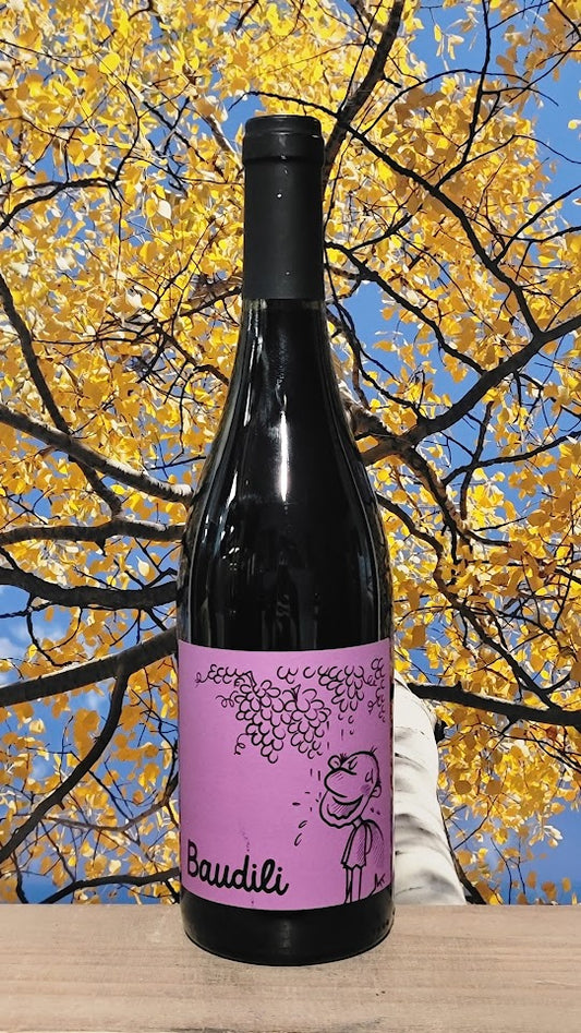 Ramon janes baudili negre xarel-lo