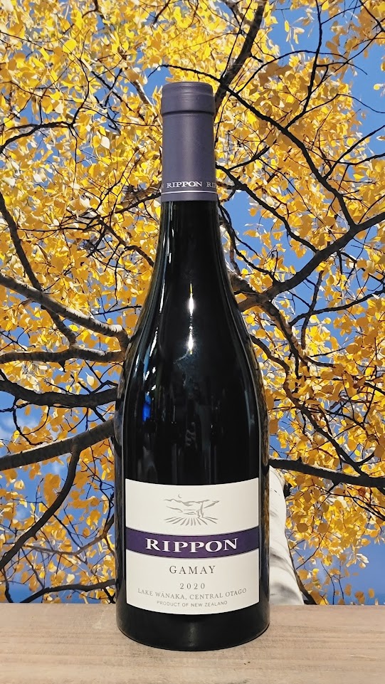 Rippon gamay