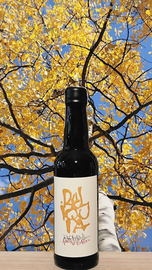 Barbadillo reliquia series amontillado