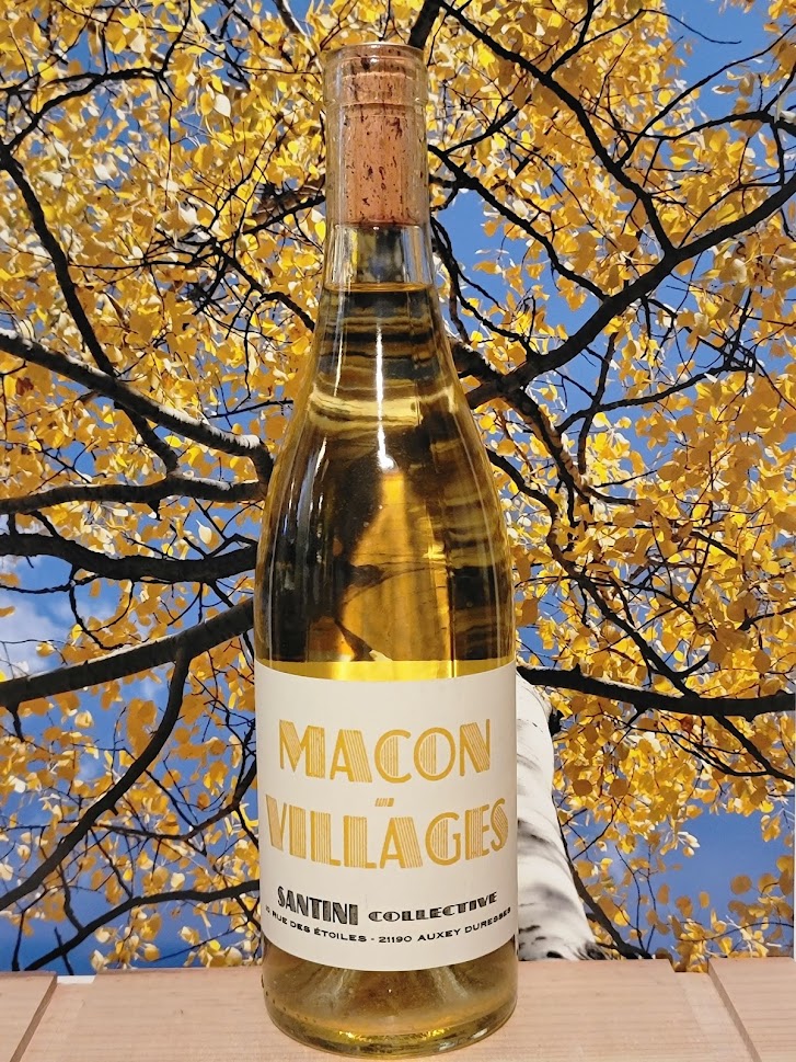 Santini freres macon villages chardonnay