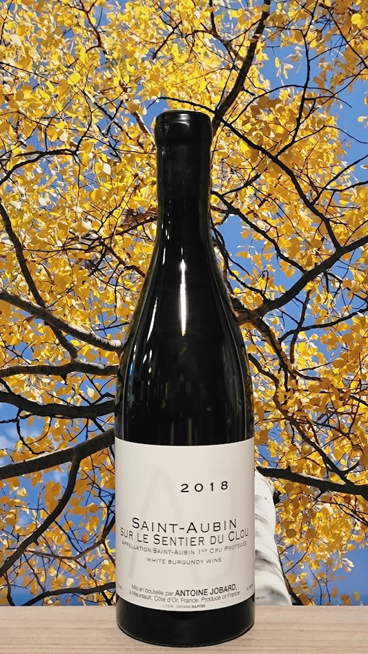 Antoine jobard saint aubin sur le sentier du clou