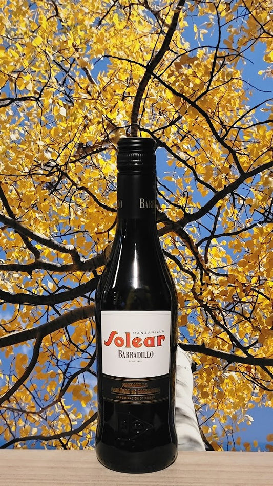 Barbadillo solear manzanilla sherry