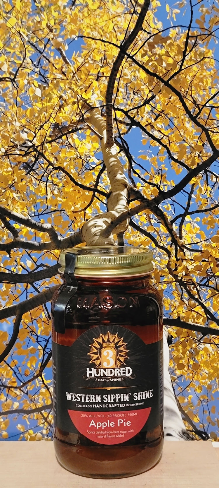 3 hundred days of sunshine apple pie