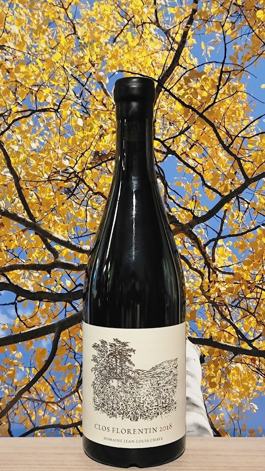 Domaine jl chave st joseph florentine