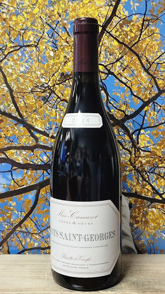 Meo-camuzet nuits st george