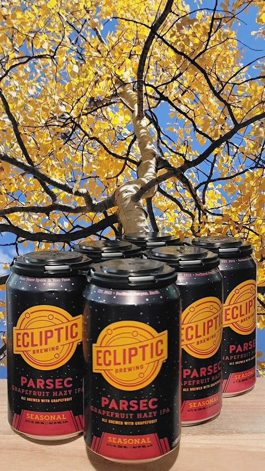 Ecliptic flamingo planet guava blonde ale