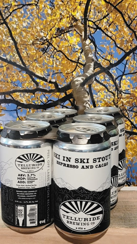 Telluride ski in ski out stout