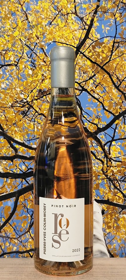 Pycm rose de pinot noir