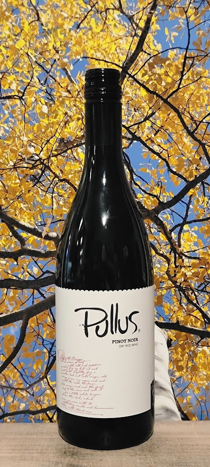 Pullus pinot noir