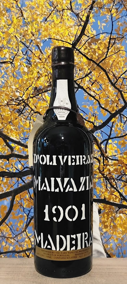 D'oliveira malvasia madeira