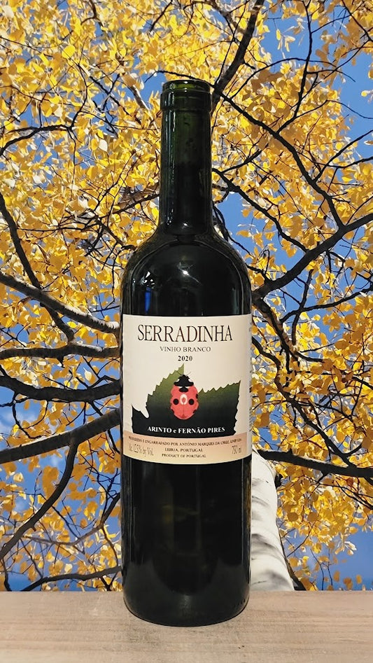Serradinha vinho branco arinto e fernao pires
