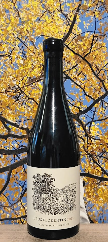 Domaine jl chave st joseph florentine