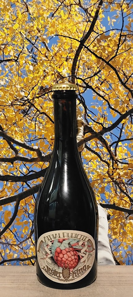 Jester king atrial rubicite sour barrel aged beer