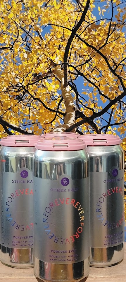 Other half forever ever ddh hazy ipa