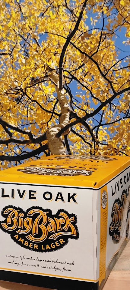 Live oak amber lager