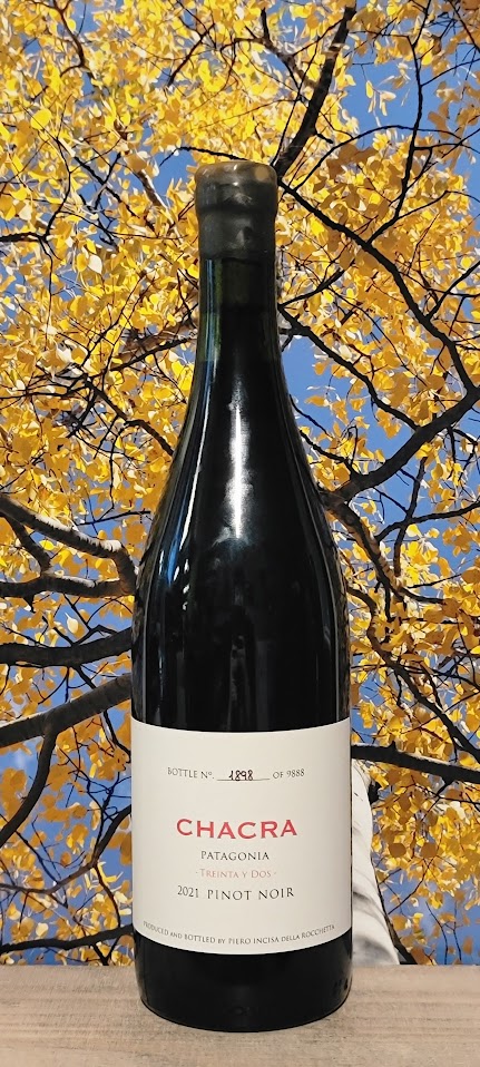 Bodega chacra 32 pinot noir