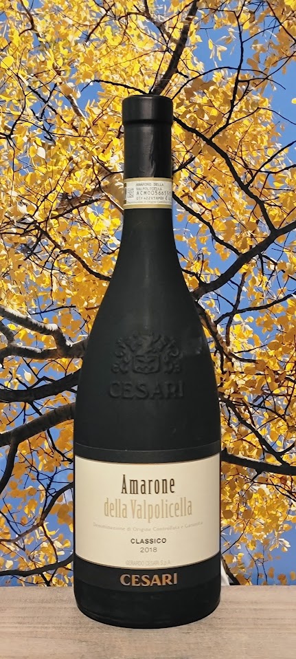 Cesari amarone della valpolicella classico