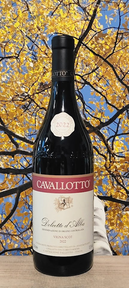 Cavallotto dolcetto d'alba vigna scot