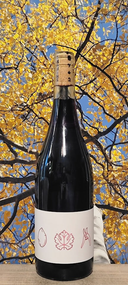 Anne collard 'shi fu mi' vdf