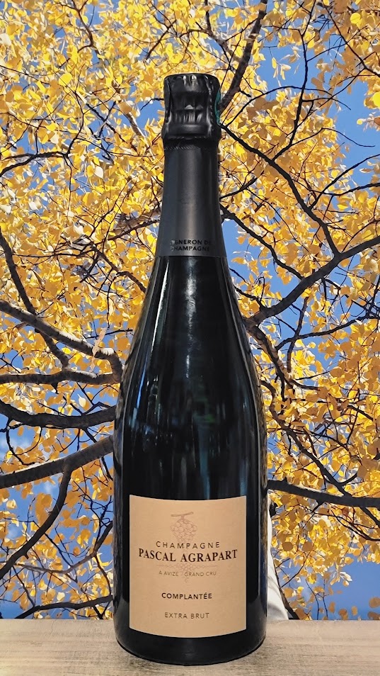 Pascal agrapart avize grand cru compantee extra brut champ