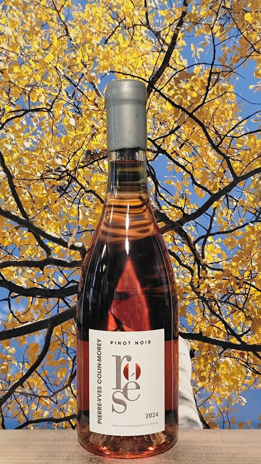 Pycm bourgogne pinot noir rose