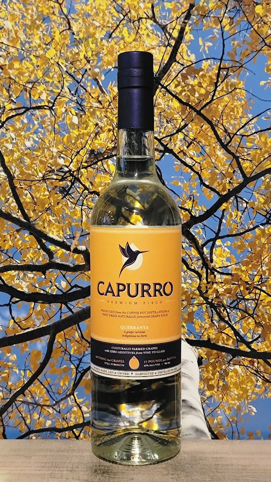 Capurro quebranta pisco