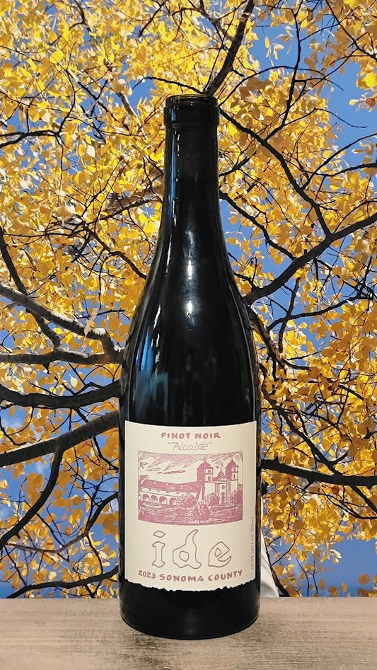 Ide pinot noir 'alcaldte'
