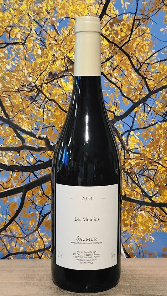 Chai de la dive saumar blanc 'les moulins'