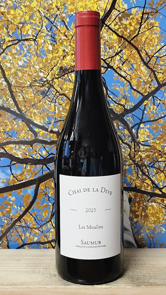Chai de la dive saumar rouge 'les moulins'