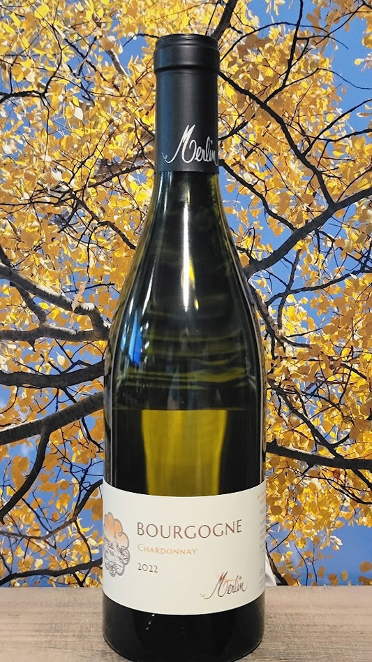 Olivier merlin bourgogne chardonnay